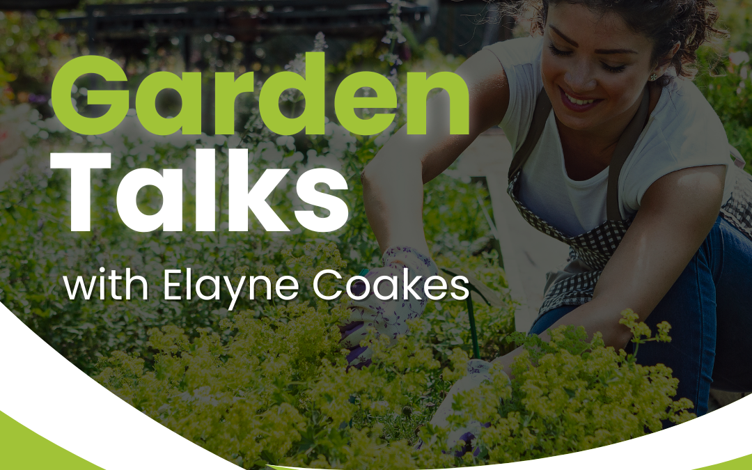 Garden Talks with Elayne – September